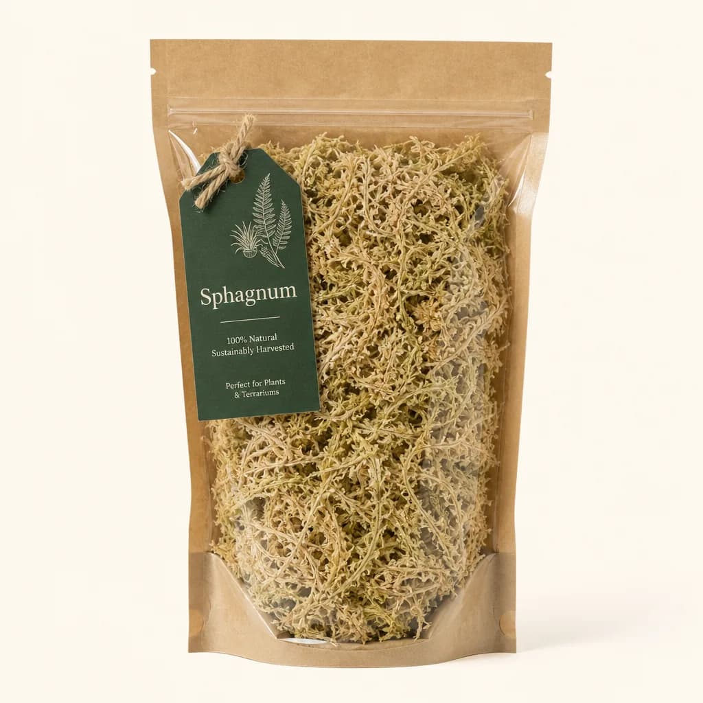 Musgo Sphagnum 5L — Casa Selva vivero Uruguay